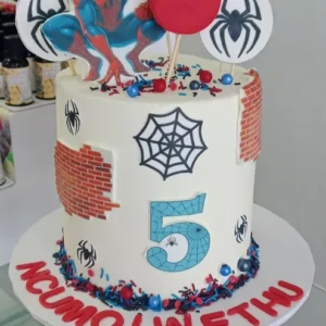 Spider Web and Brick Wall Cake